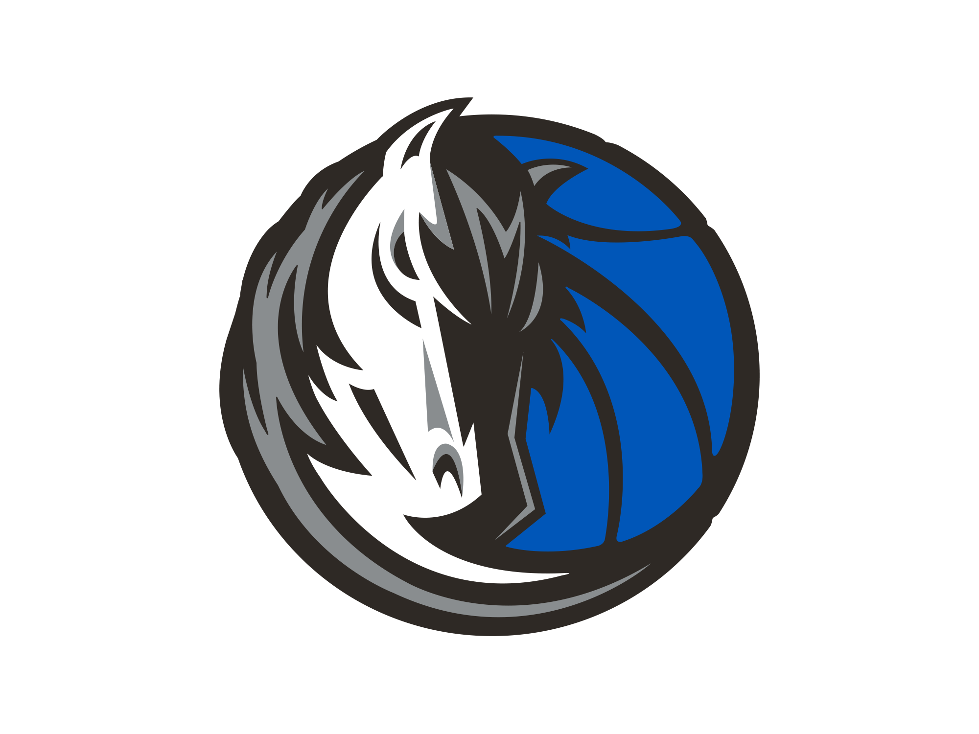 Dallas Mavericks