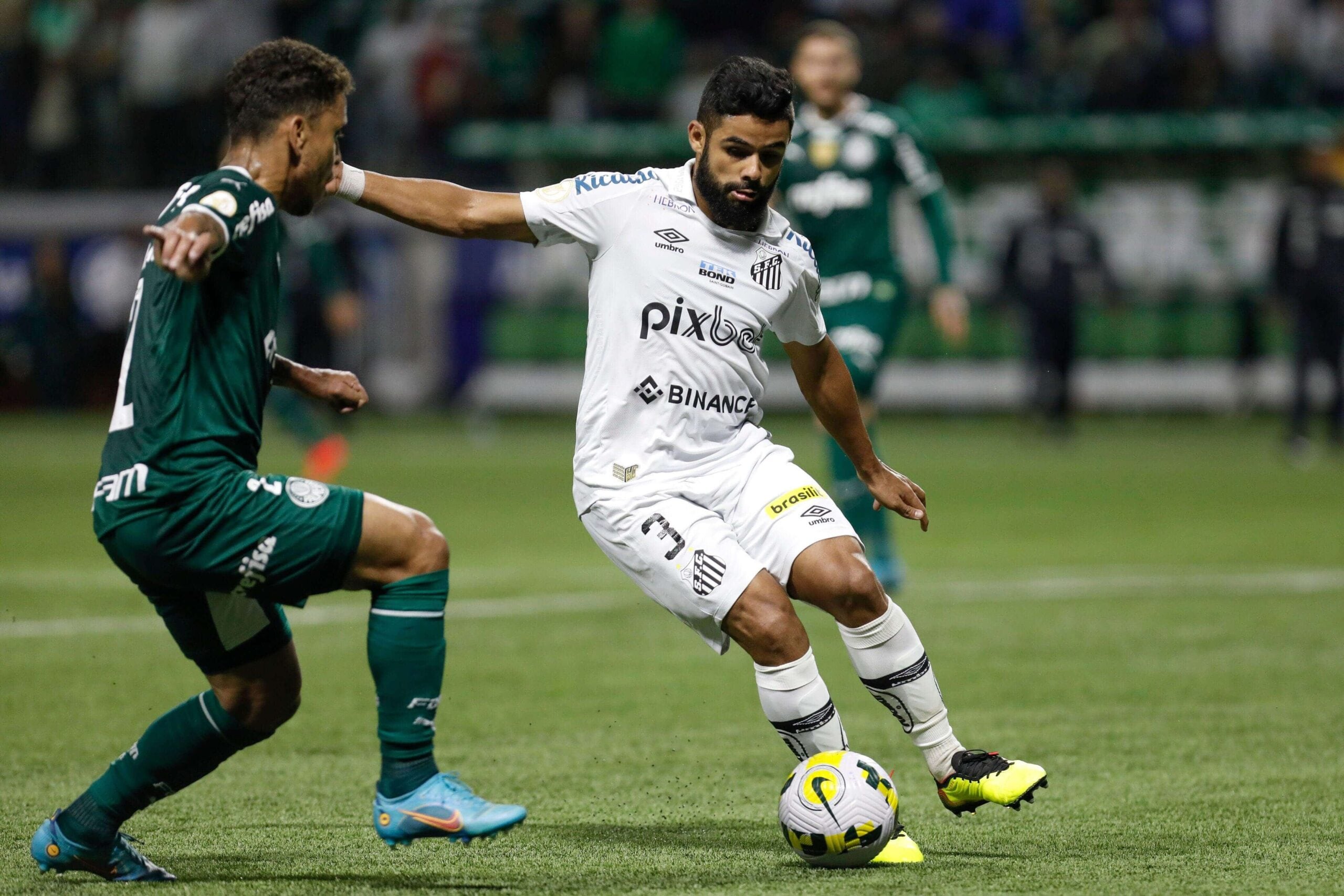 Final do campeonato paulista: Palmeiras x Santos