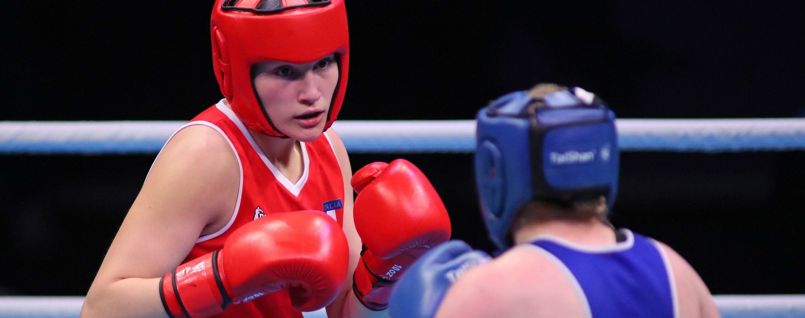 como são divididas as categorias do Boxe