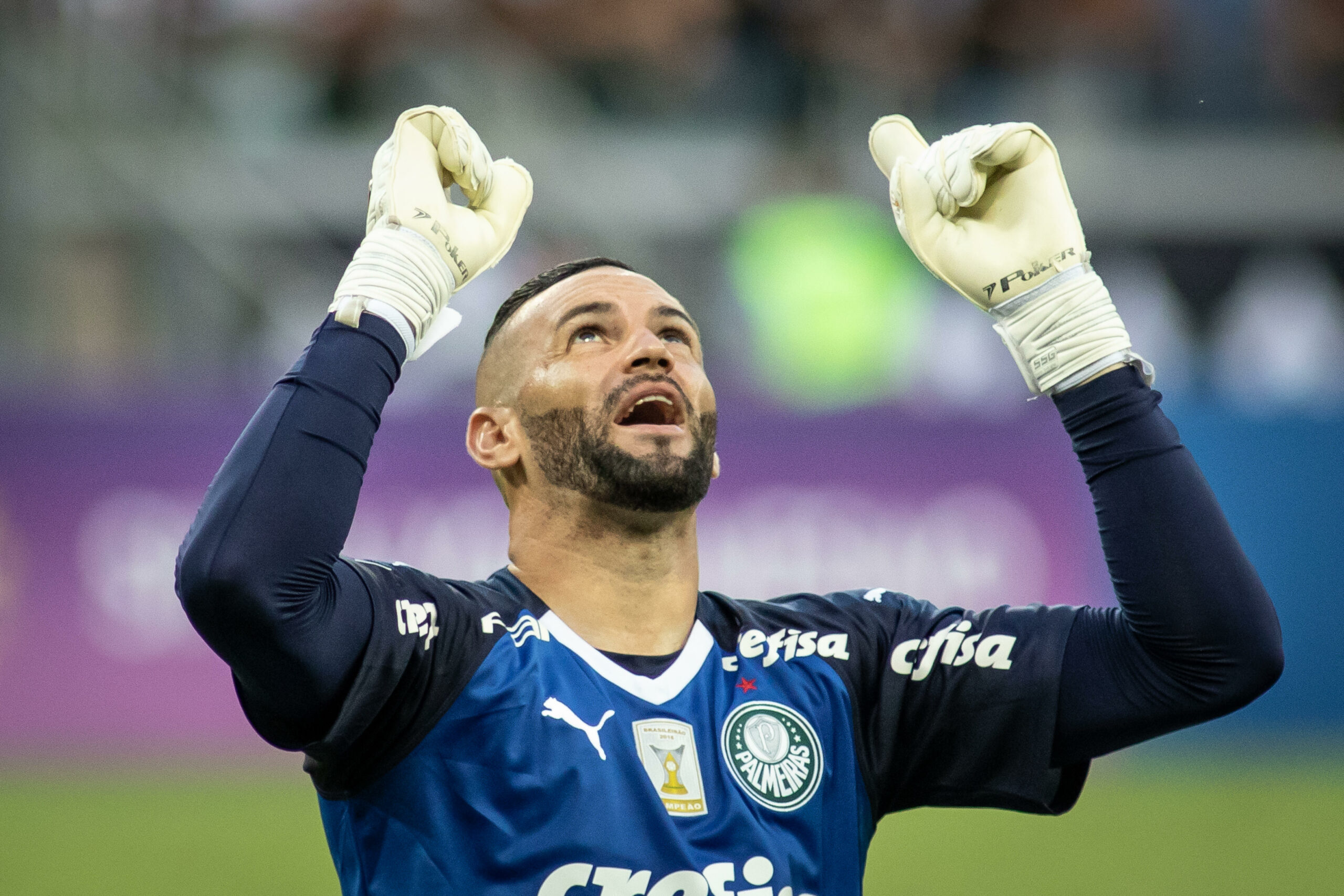 Weverton, do Palmeiras, comemora gol