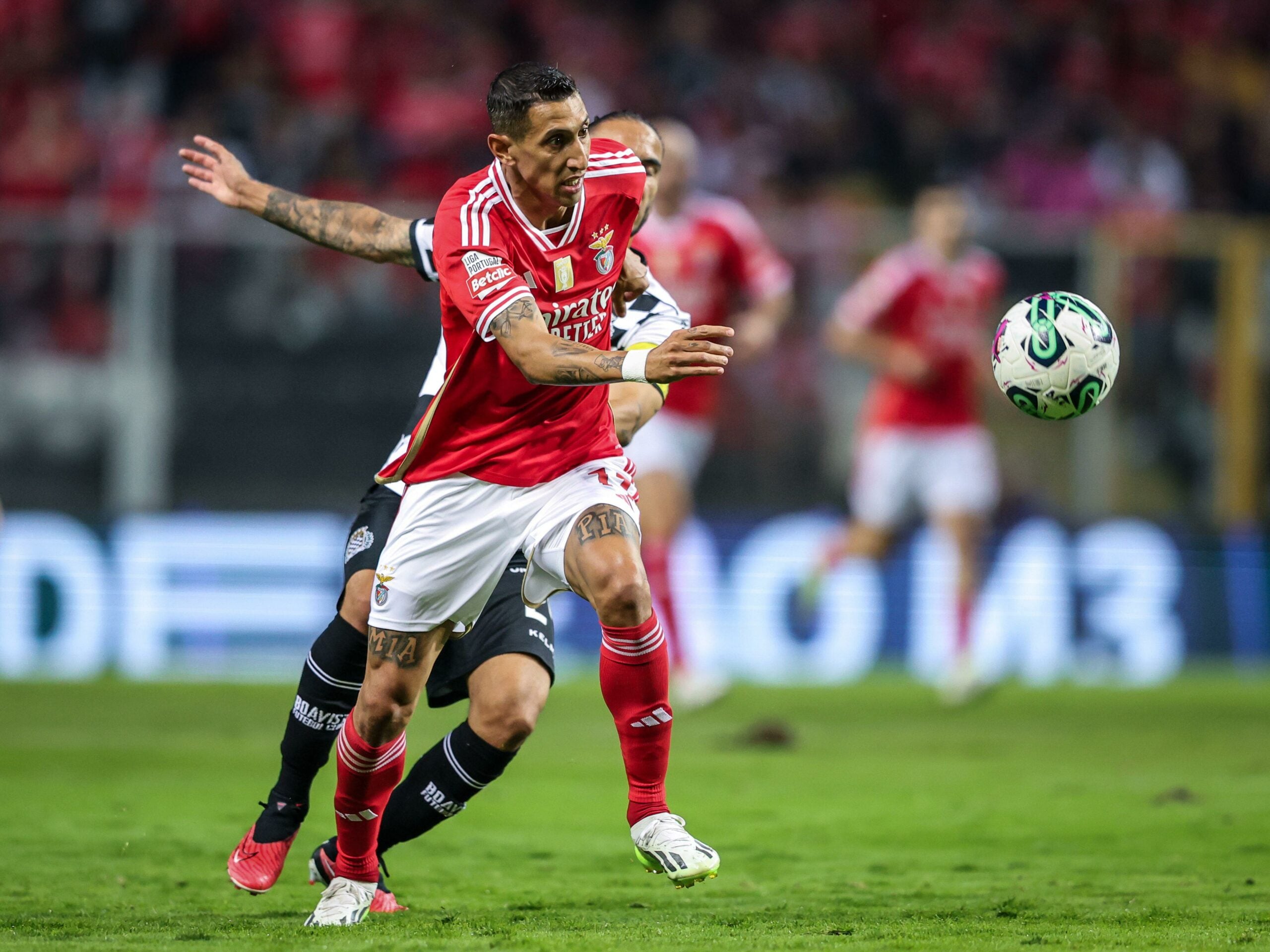 Jogadores do Benfica | Títulos de Benfica