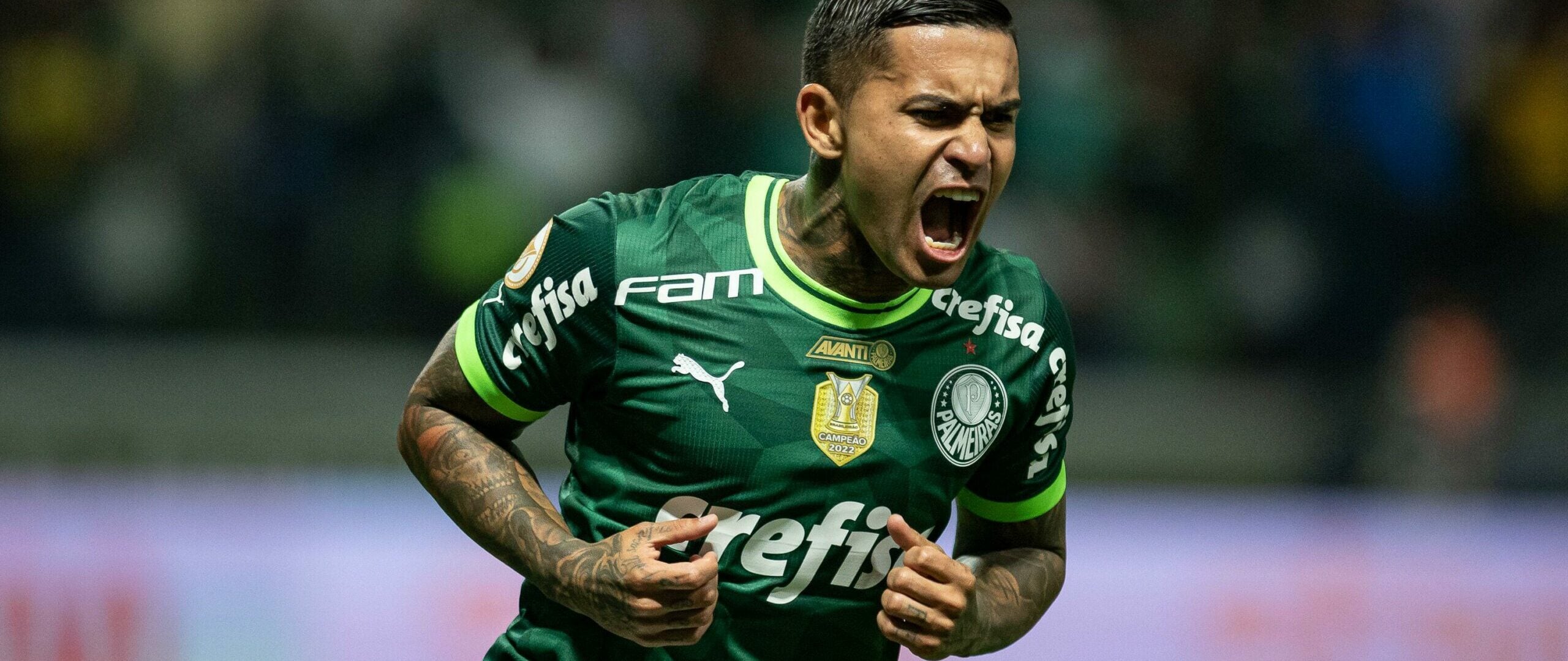 Dudu, do Palmeiras