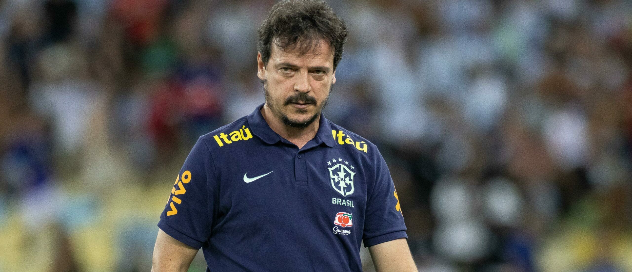 Diniz na Seleção Brasileira