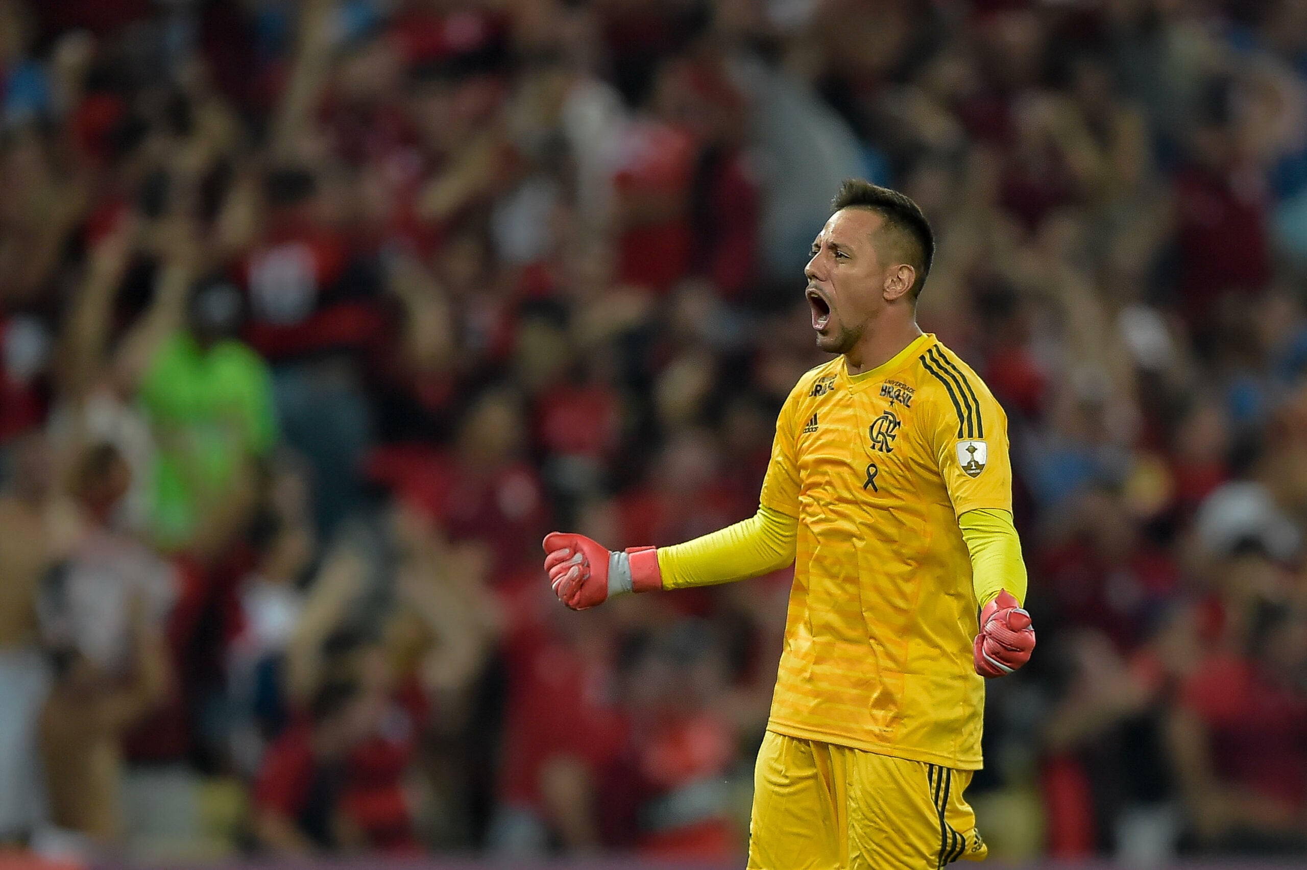 Goleiro Diego Alves