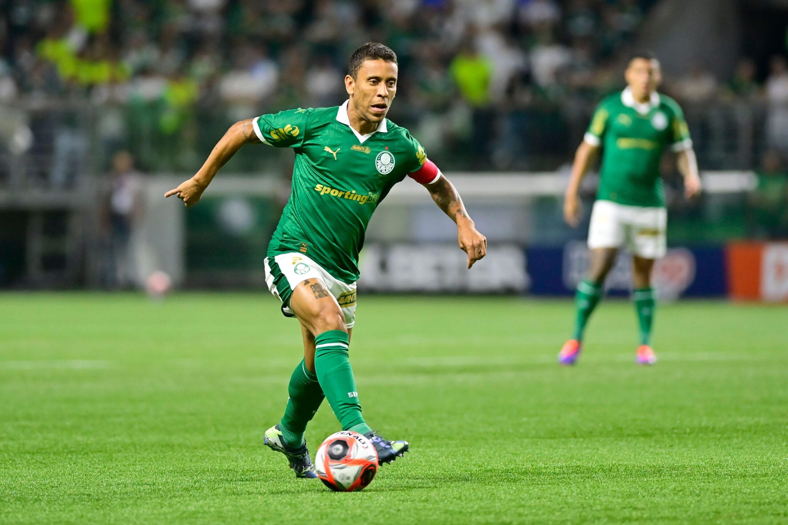 Palpites Palmeiras x Bahia odds do Campeonato Brasileiro