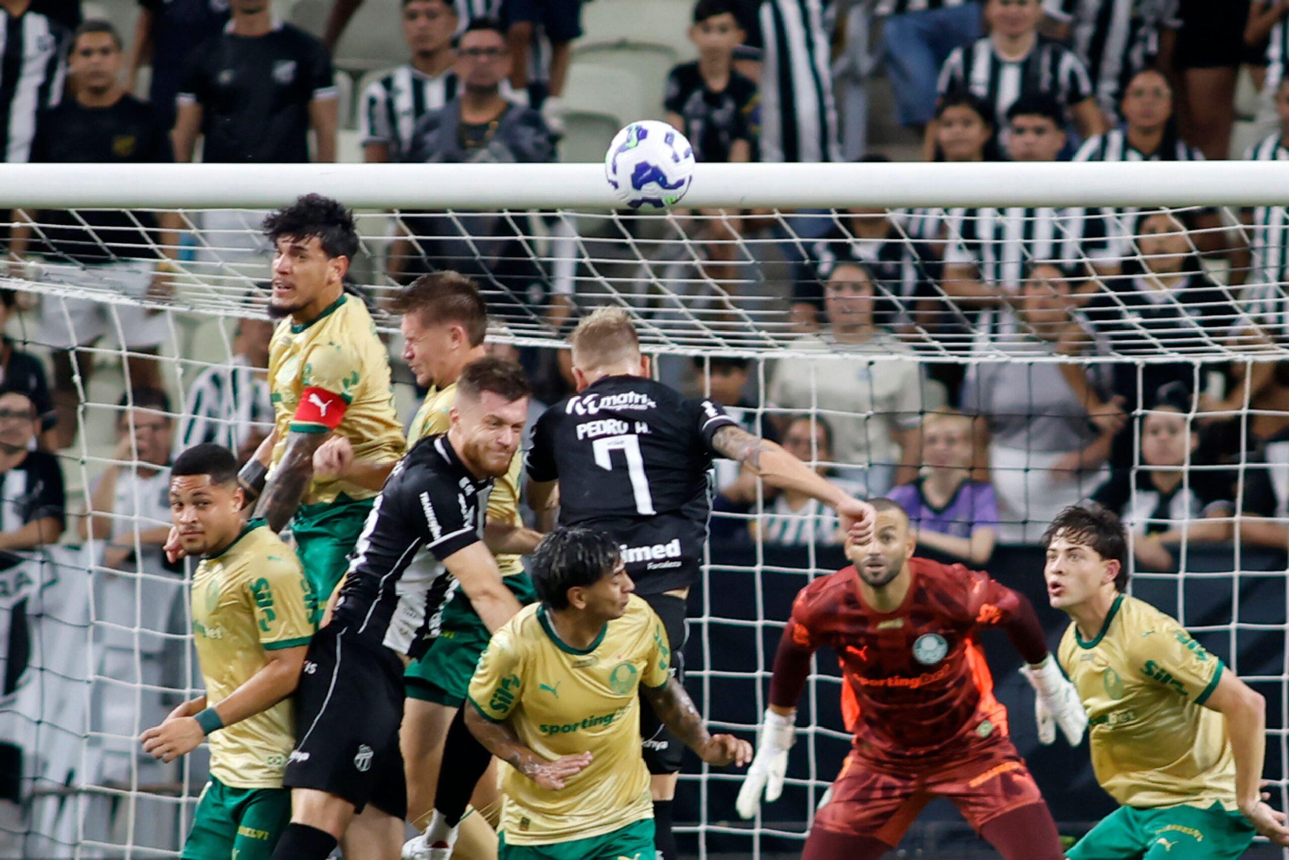 Palpites Palmeiras x Ceará odds da Copa do Brasil