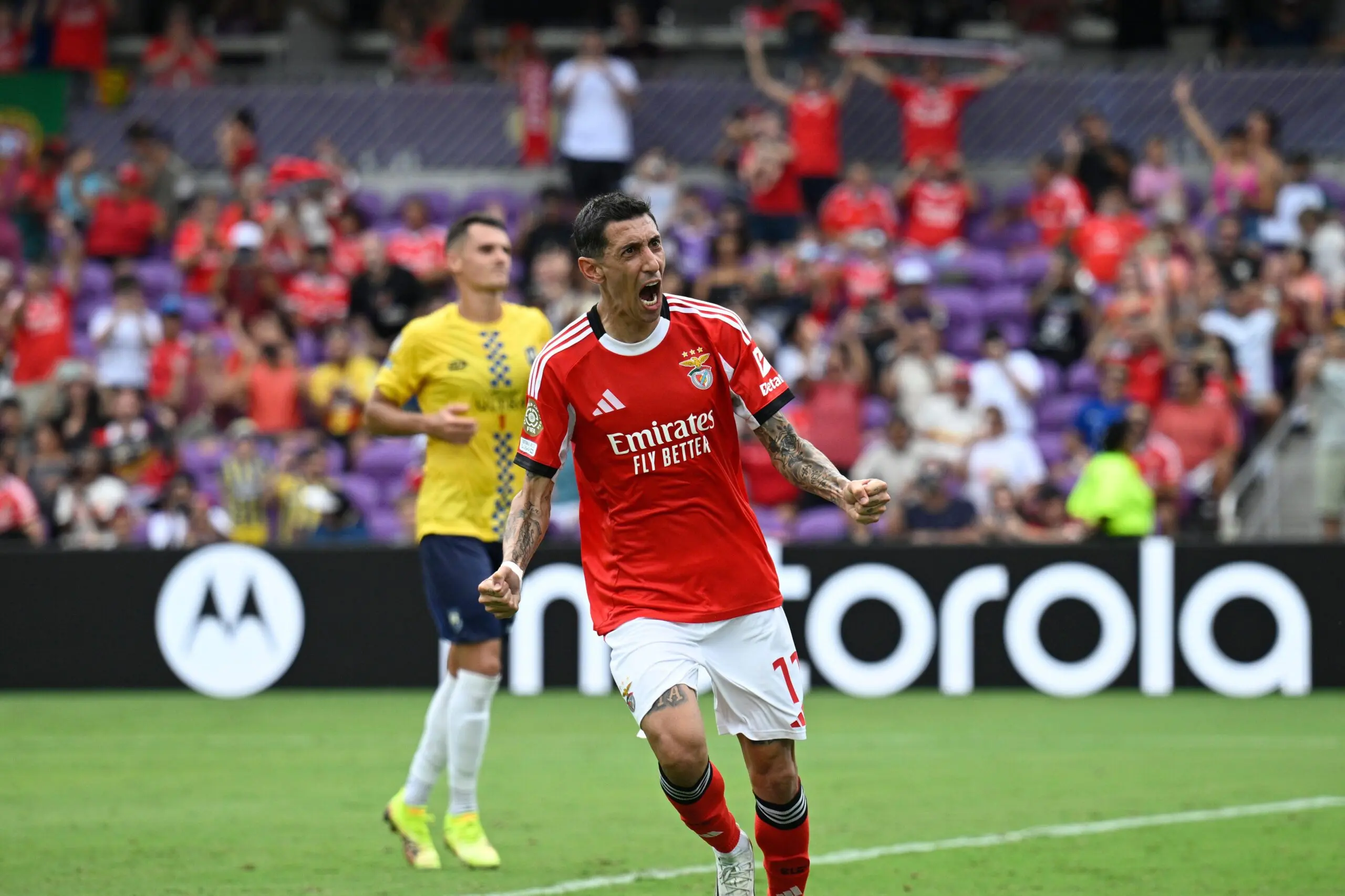 Palpites Benfica x Chelsea as odds do Mundial de Clubes