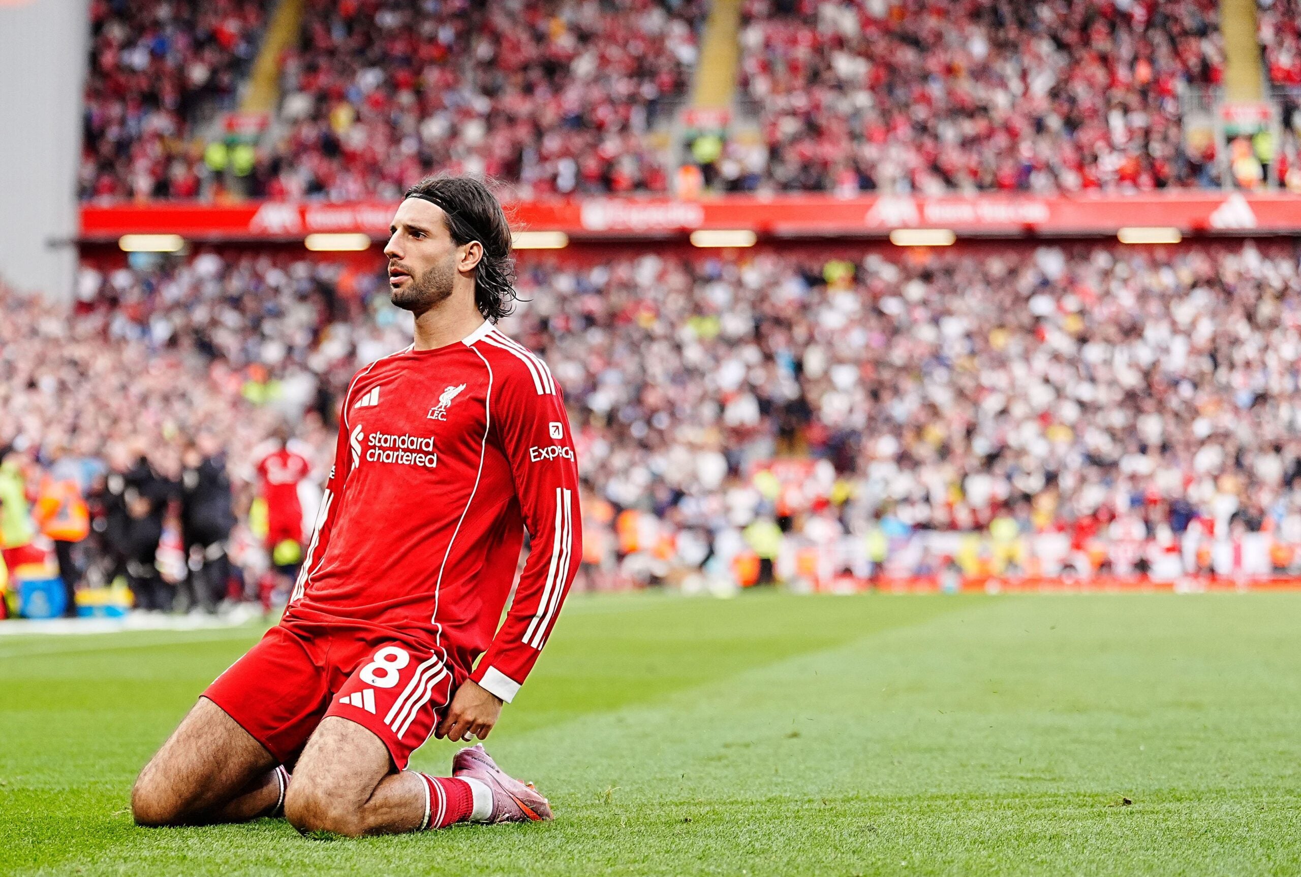Sunderland x Liverpool: odds, palpites e onde assistir – Premier League