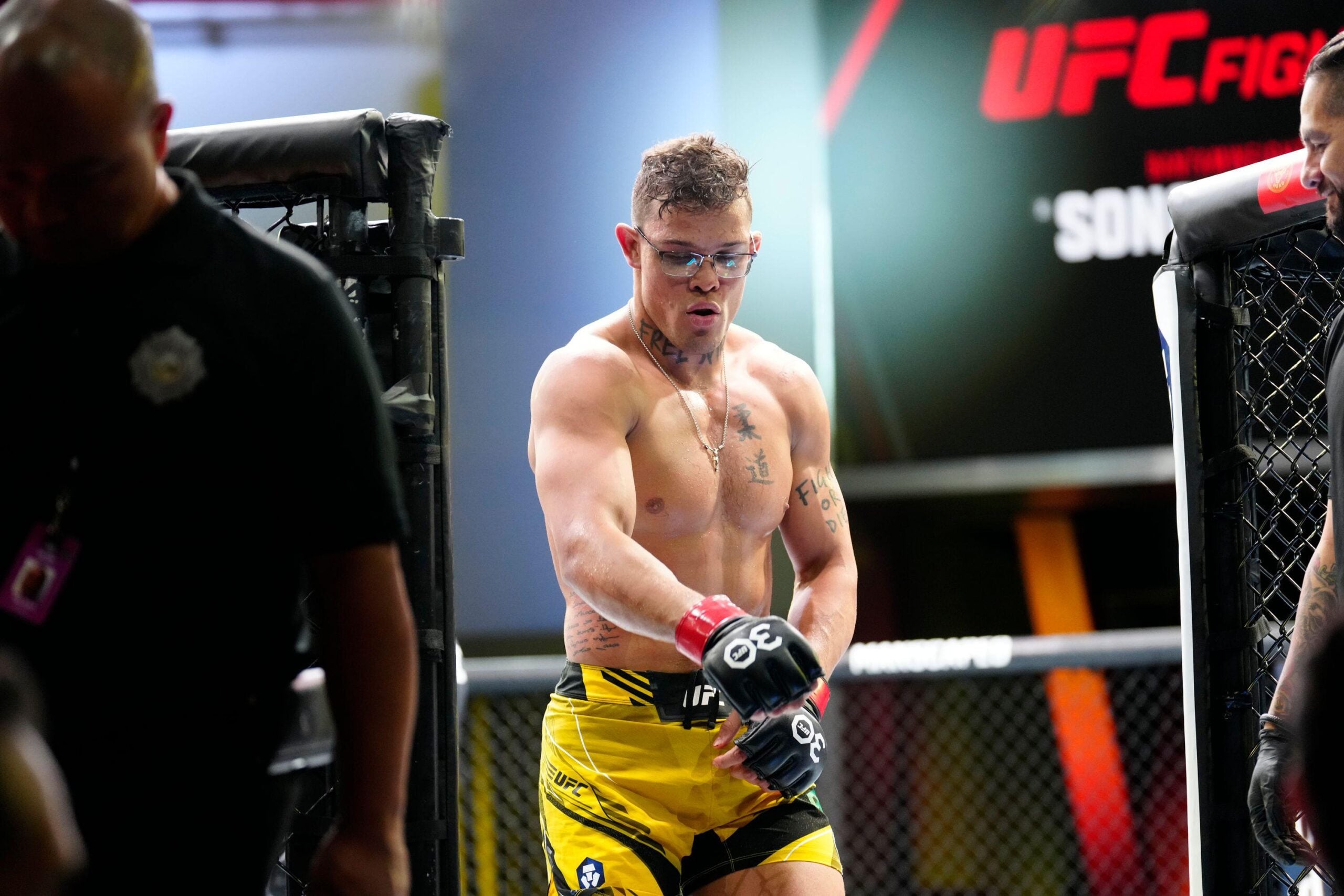 Imavov x Borralho: odds, palpites e onde assistir – UFC Paris