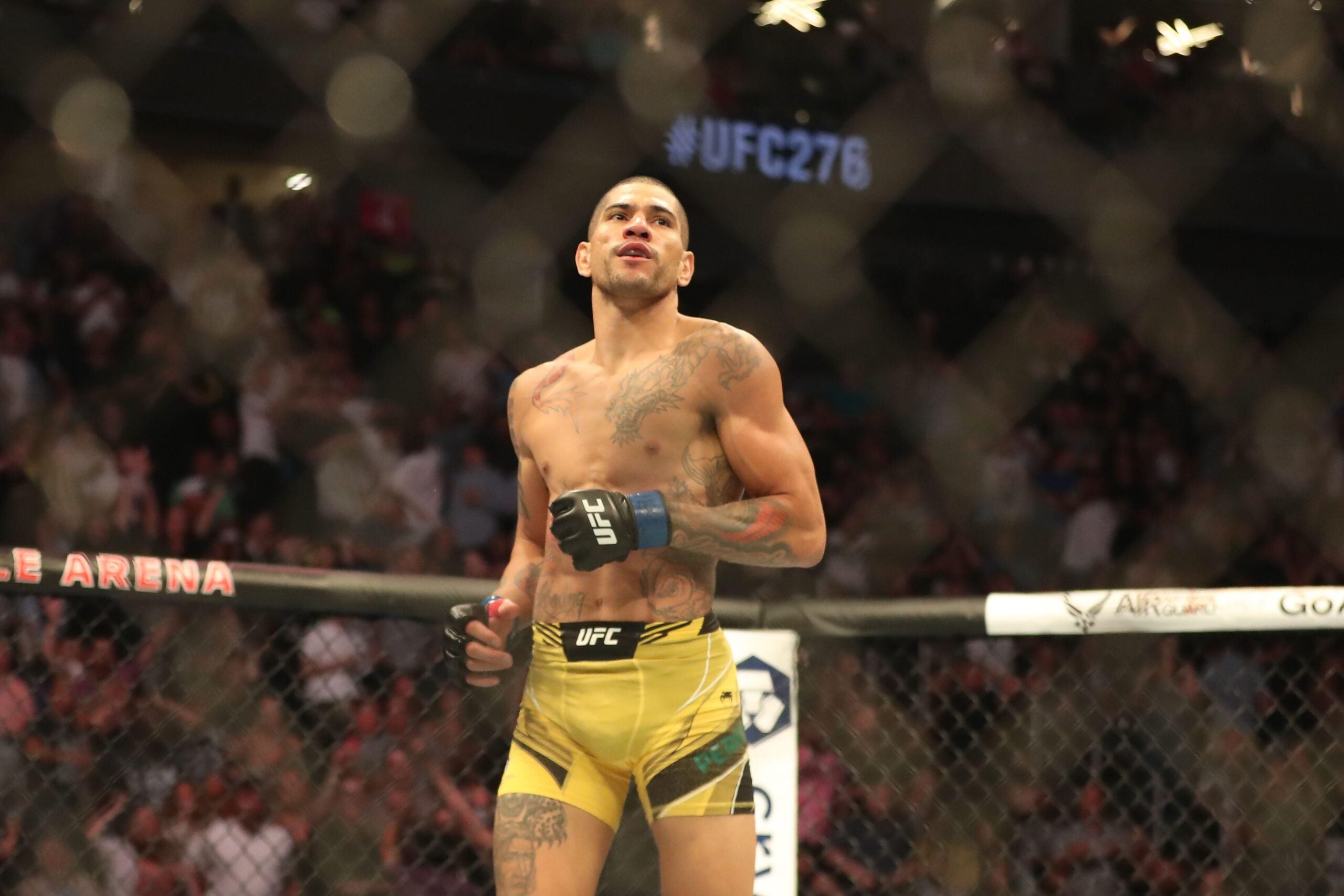 Strickland x Hernandez: odds, palpites e onde assistir – UFC Fight Night 267