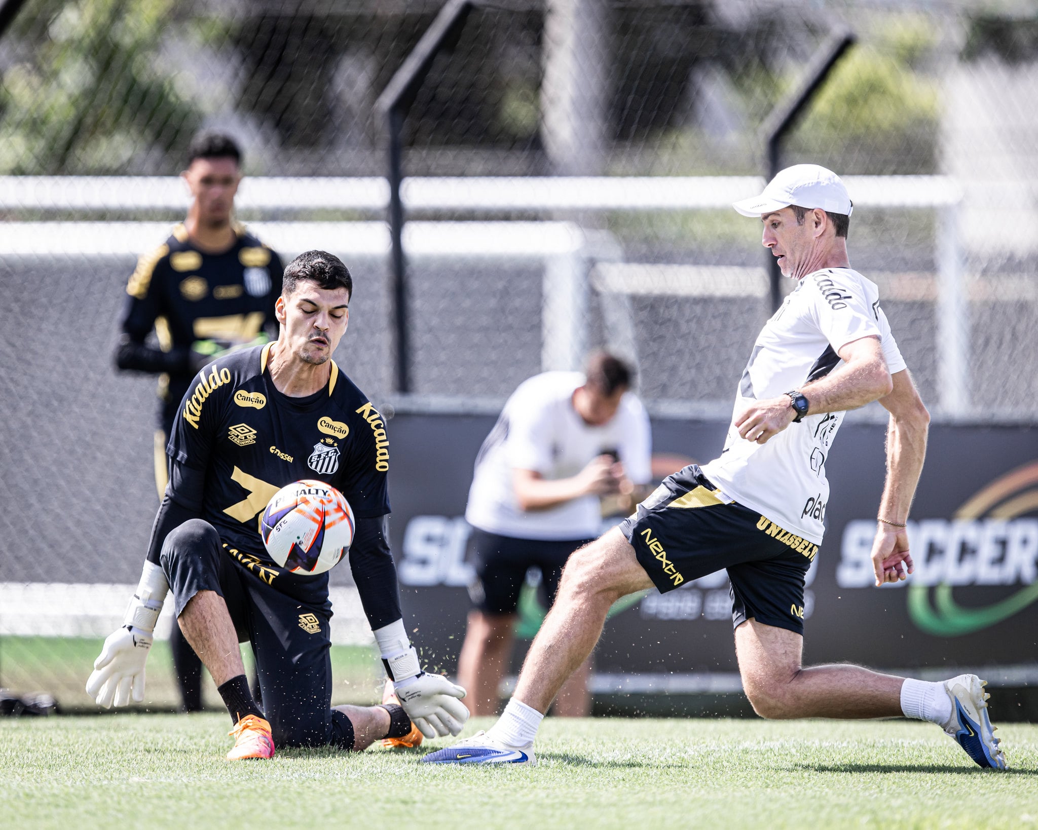 Santos x Novorizontino odds, palpites e onde assistir - Campeonato Paulista