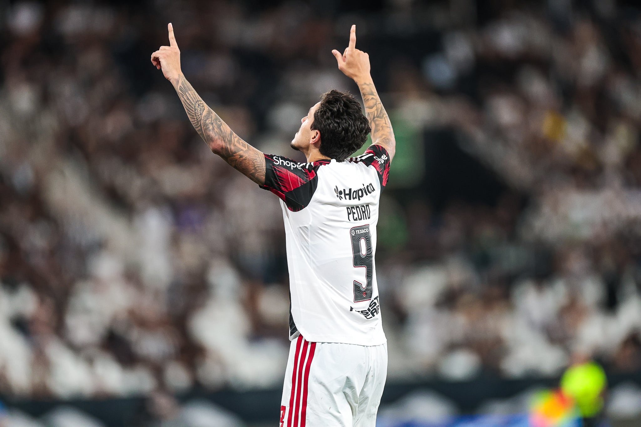 Flamengo x Remo odds, palpites e onde assistir – Campeonato Brasileiro
