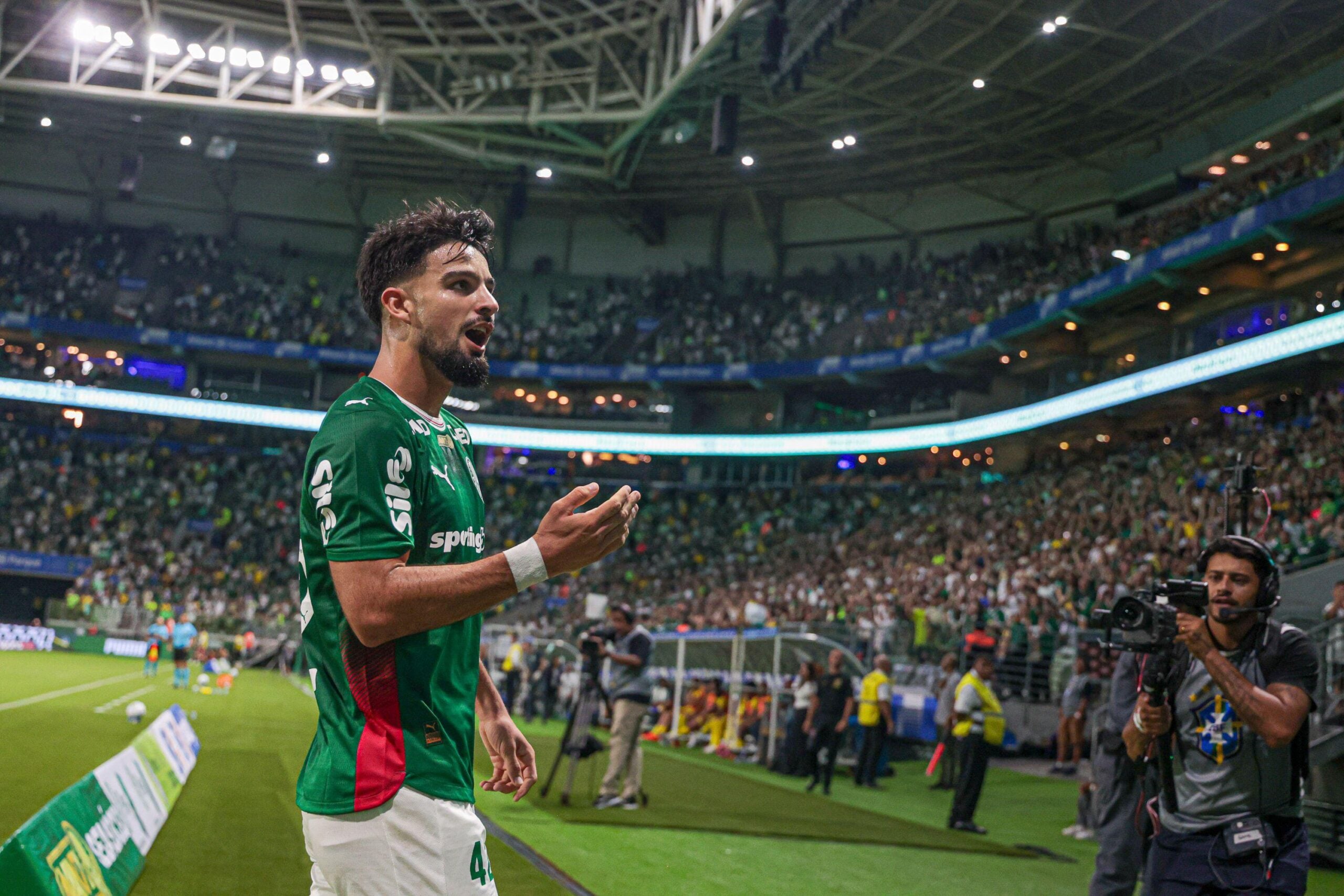 Bruno Vicari: Palmeiras x Botafogo