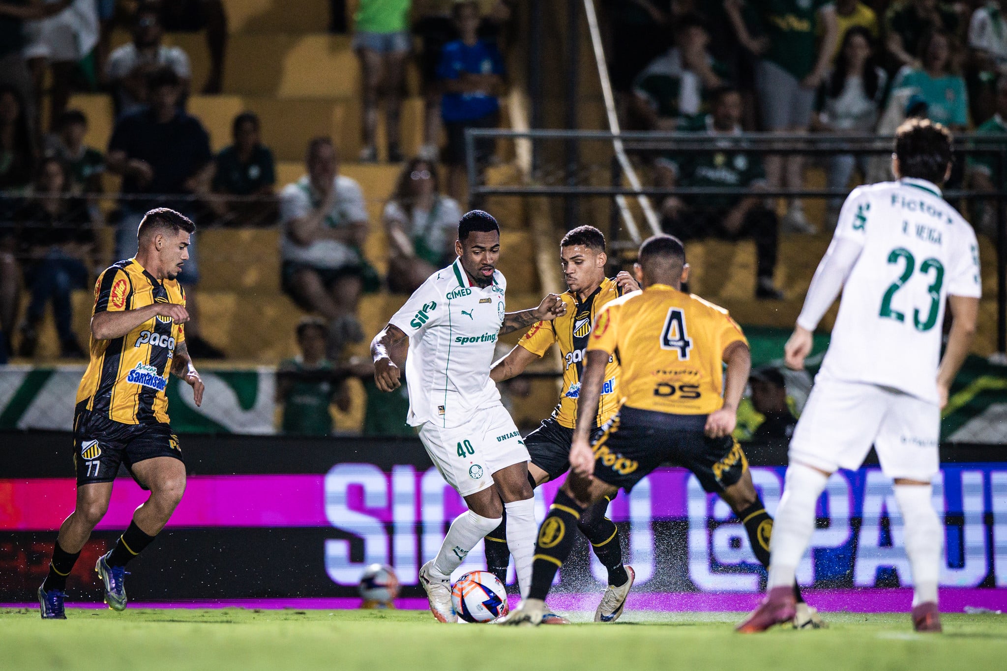 Paulistão o histórico do Palmeiras contra finalistas emergentes