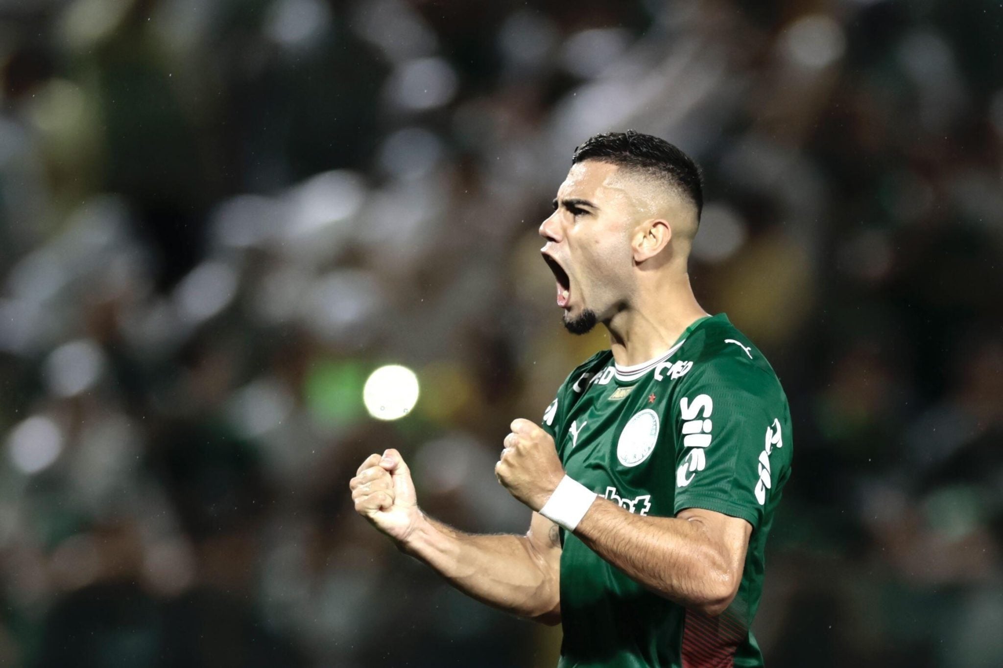 Palmeiras x Chapecoense: odds e palpites do Campeonato Brasileiro