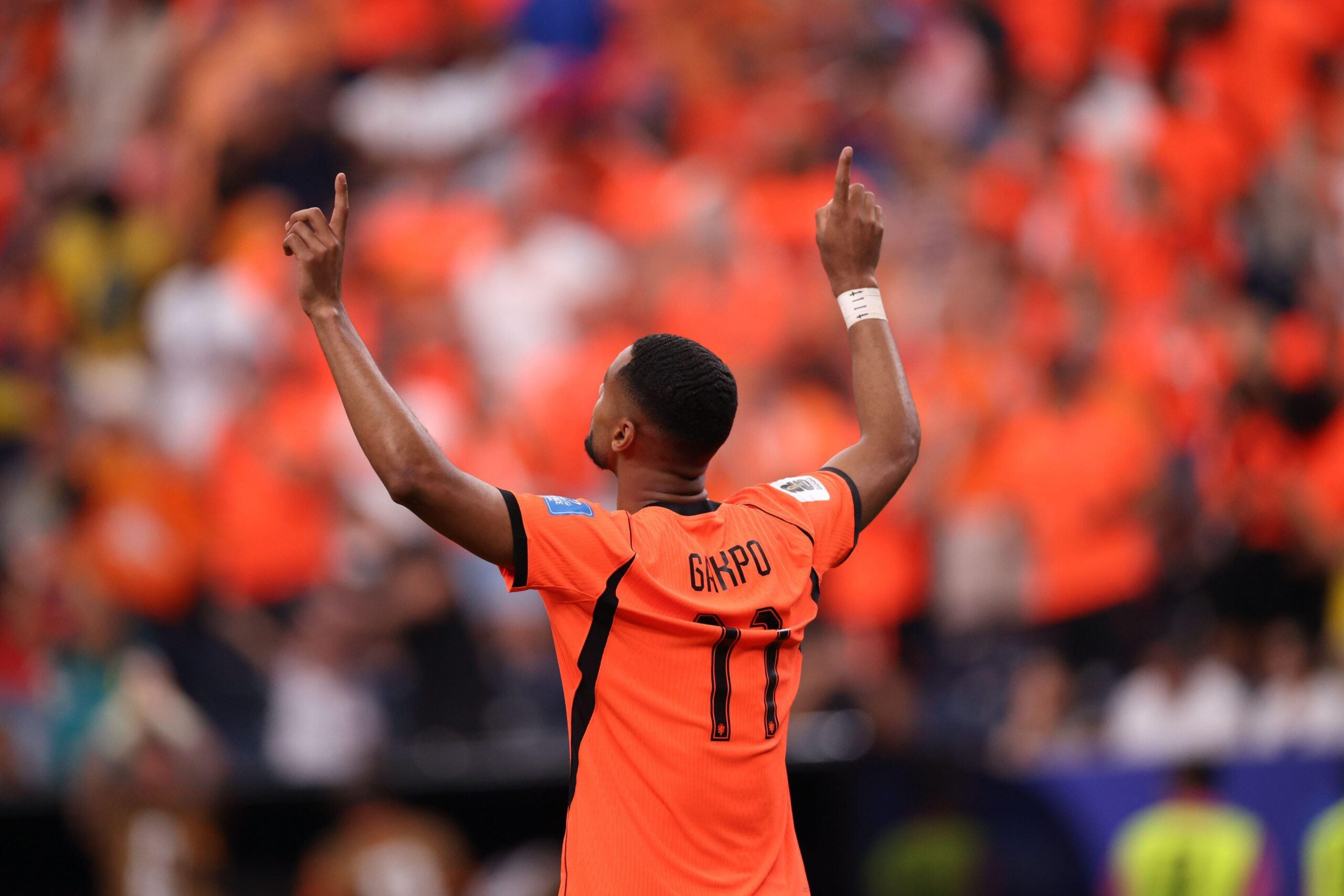Tunísia x Holanda palpites e odds da Copa do Mundo