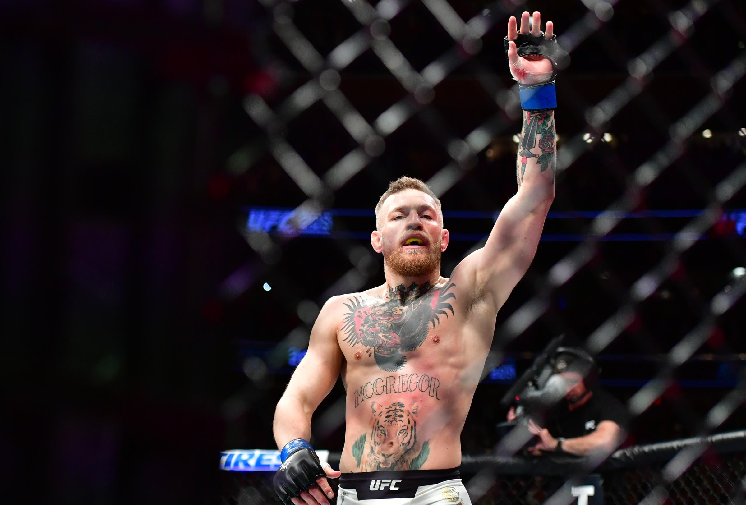 UFC 329 odds para Conor McGregor x Max Holloway