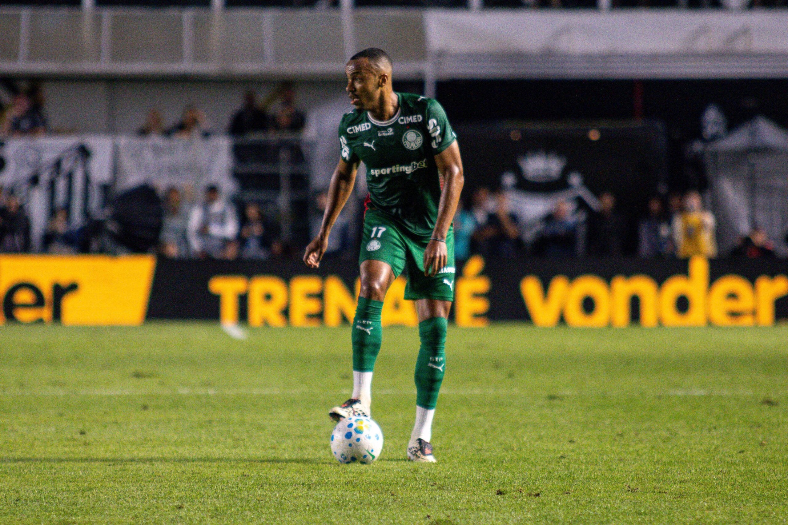 Botafogo x Palmeiras: palpites e odds do Brasileirão – 06/09