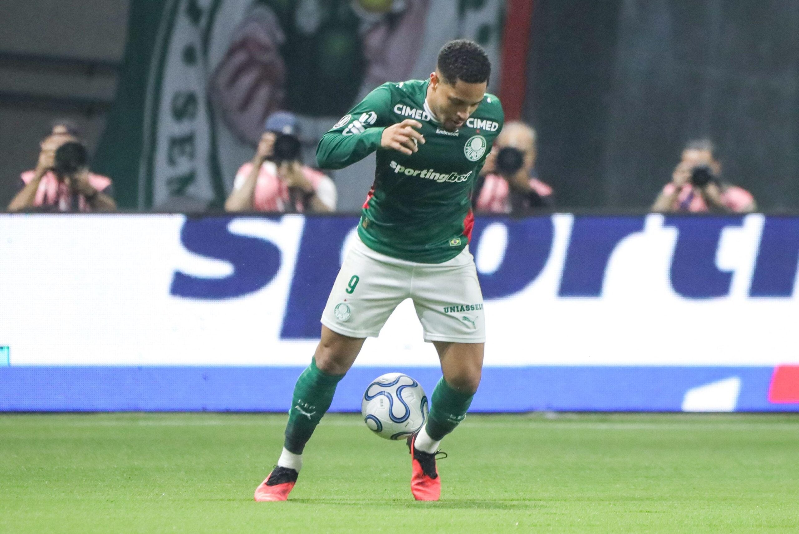 Fluminense x Palmeiras: palpites e odds do Brasileirão – 15/08
