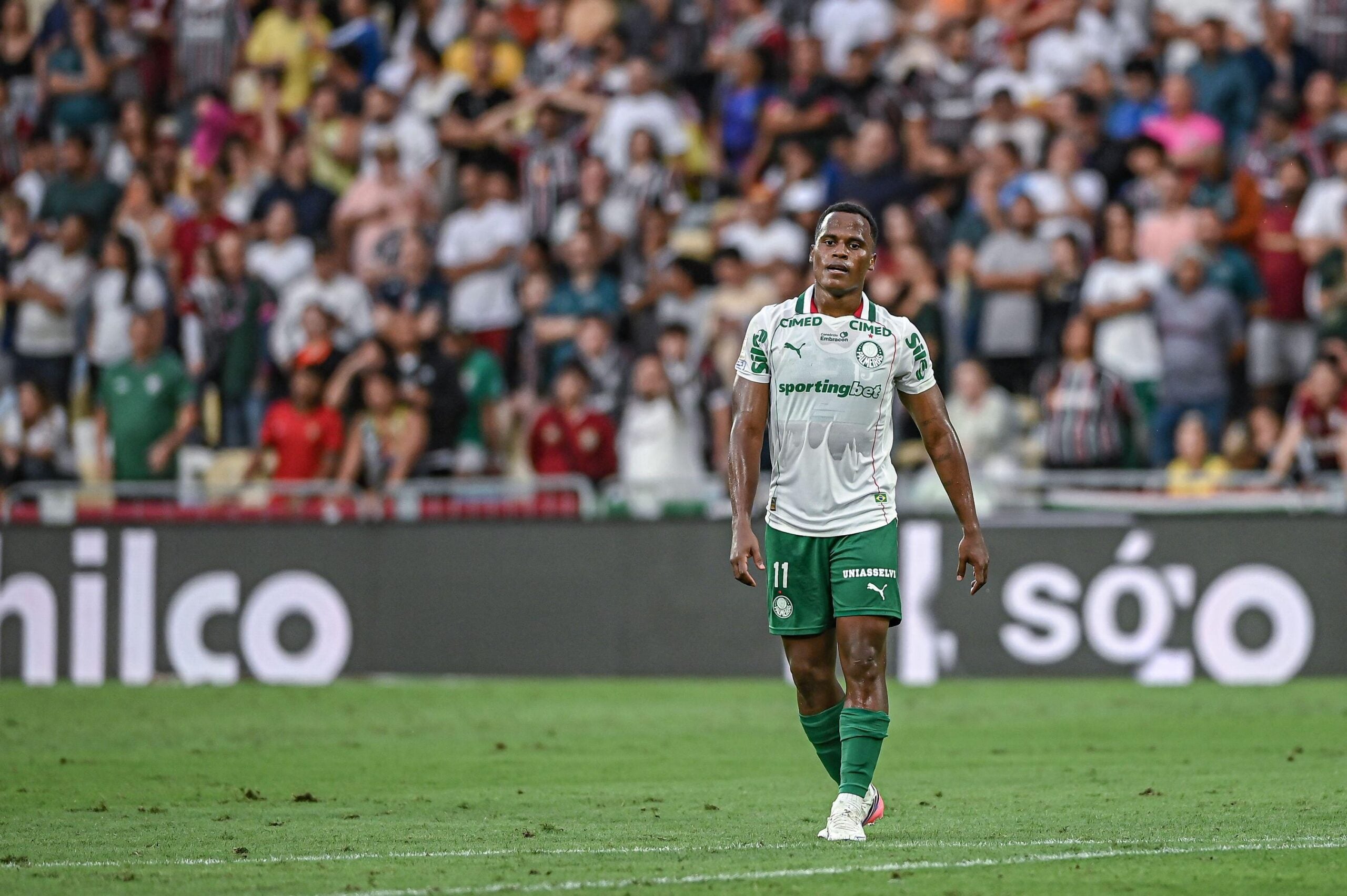 Bruno Vicari: Big Odd Palmeiras vence o 1º e o 2º tempo contra a LDU